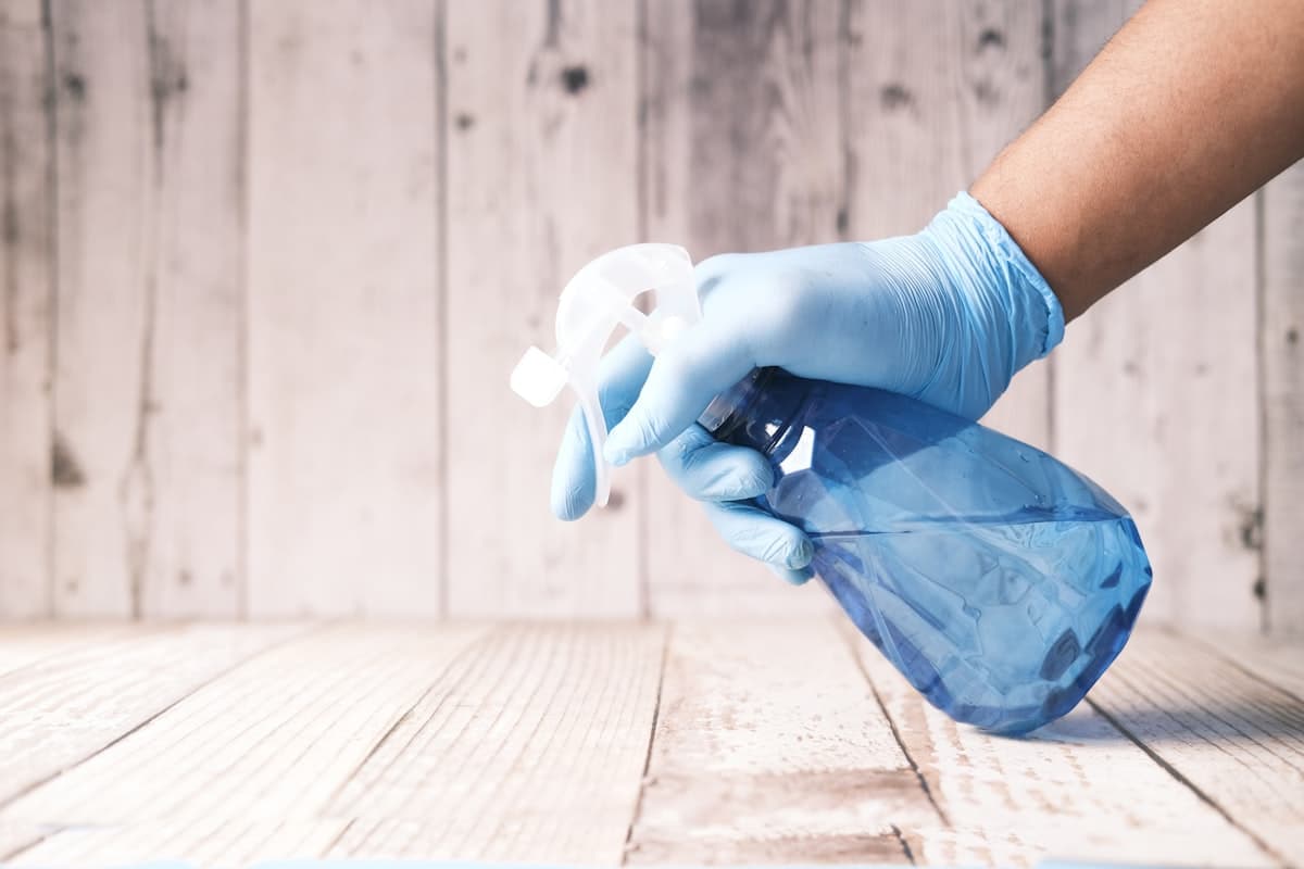 Tichi professional cleaner using eco-friendly products